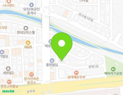 충청남도 당진시 천변1길 218-16 (대덕동, 한성빌A) 지도