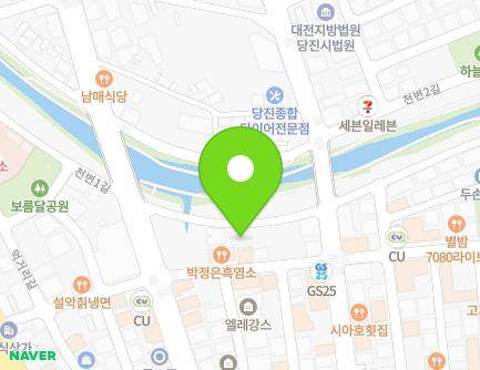 충청남도 당진시 천변1길 84 (대덕동, 현대명가) 지도