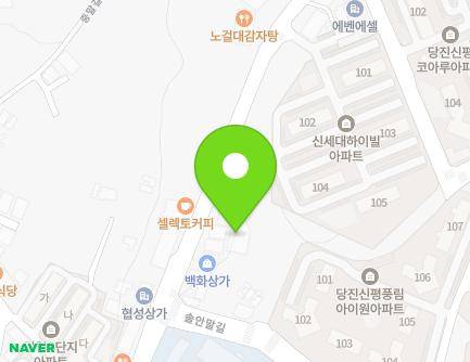 충청남도 당진시 신평면 거산3거리길 48 (현대의원) 지도