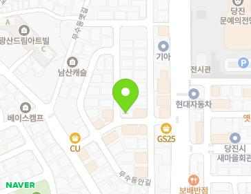충청남도 당진시 무수동안길 19 (읍내동, 금산주택) 지도