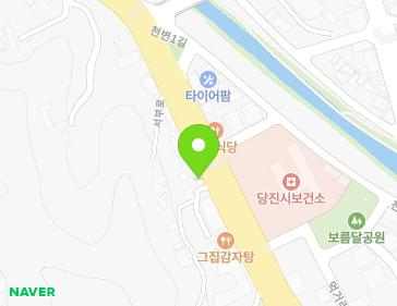 충청남도 당진시 서부로 63 (채운동) 지도