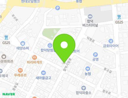 충청남도 당진시 합덕읍 합덕시장로 185 (약손약국) 지도