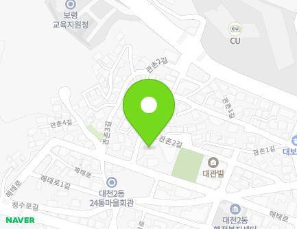 충청남도 보령시 해태로 48-10 (대천동, 화이트캐슬) 지도