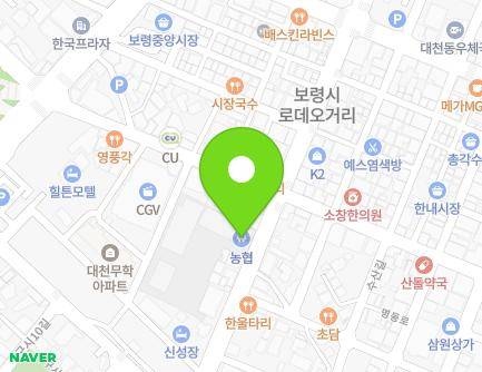 충청남도 보령시 남대천로 50 (대천동, 대천농협) 지도