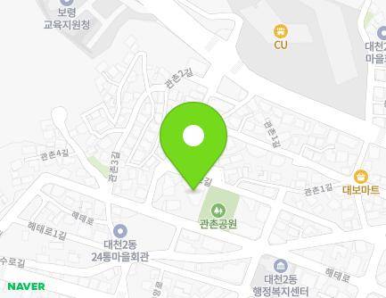 충청남도 보령시 관촌2길 33 (대천동, 대영빌라) 지도