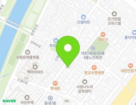 충청남도 보령시 신설5길 52 (동대동, 한내빌) 지도