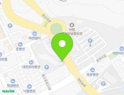 충청남도 보령시 해수욕장13길 14-17 (신흑동, 충청북도해양교육원) 지도