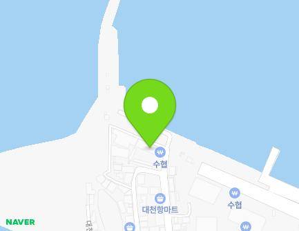 충청남도 보령시 대천항로 389 (신흑동, 보령수협) 지도