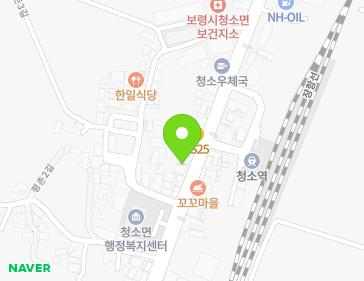 충청남도 보령시 청소면 청소큰길 171 지도