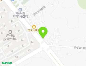 충청남도 부여군 부여읍 금성로 41 충청남도 부여군 부여읍 금성로 41 지도