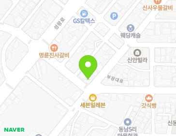 충청남도 부여군 부여읍 정림로 13 지도