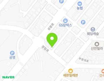 충청남도 부여군 부여읍 정림로 5 지도