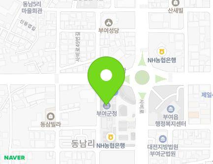 충청남도 부여군 부여읍 사비로 33 (부여군청) 지도