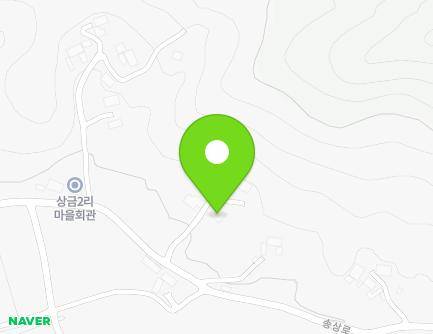 충청남도 부여군 부여읍 송상로 309-8 지도