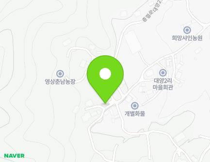 충청남도 부여군 은산면 충절로대양2길 100 (대양2리마을회관) 지도