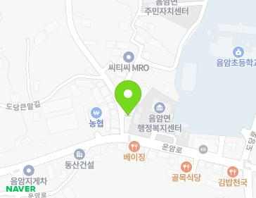 충청남도 서산시 음암면 도당큰말길 4 지도