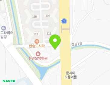 충청남도 천안시 동남구 천안대로 483-3 (구성동, 신화빌딩) 지도