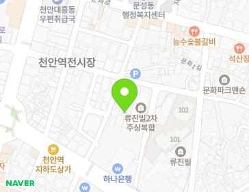 충청남도 천안시 동남구 공설시장2길 10-2 (문화동) 지도