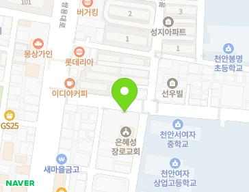 충청남도 천안시 동남구 천안여상로 12 (쌍용동, 신비주택) 지도