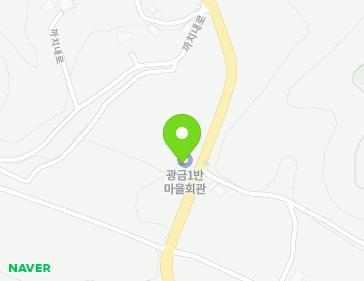 충청남도 청양군 대치면 까치내로 1257 (광금1반마을회관) 지도