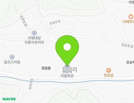 충청남도 청양군 정산면 천장호길 175-11 (천장리마을회관) 지도