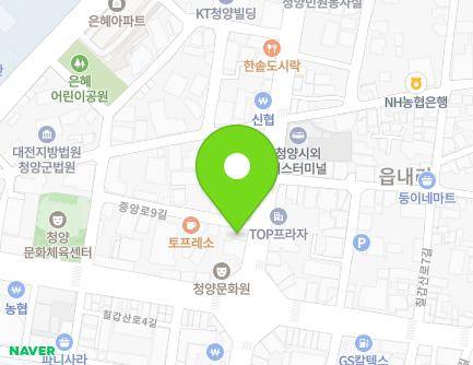 충청남도 청양군 청양읍 중앙로 133 (우리약국) 지도