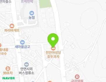 충청남도 태안군 안면읍 구억말길 24-9 (승언주택) 충청남도 태안군 안면읍 구억말길 24-9 (승언주택) 지도