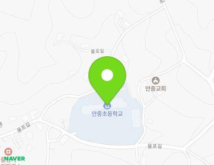 충청남도 태안군 안면읍 율포길 31 (안중초교) 지도