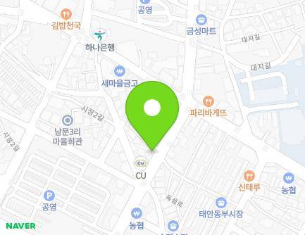 충청남도 태안군 태안읍 독샘로 35 (평천상회) 지도