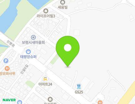 충청남도 보령시 신평로 22 (동대동) 지도