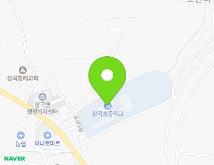 충청남도 홍성군 장곡면 도산1길 2 (장곡초등학교) 지도