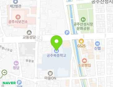 충청남도 공주시 제민천1길 113 (반죽동) 지도