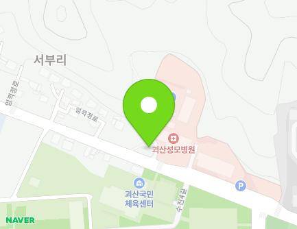 충청북도 괴산군 괴산읍 임꺽정로 118 (한마음약국) 지도