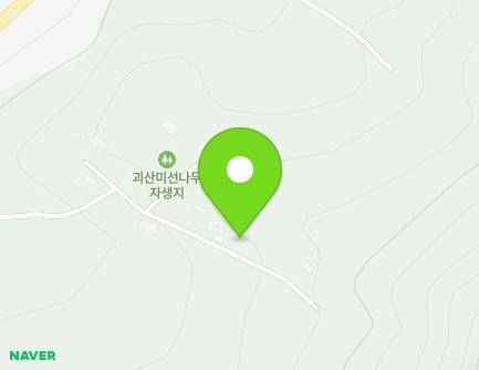 충청북도 괴산군 장연면 미선로 328-37 지도