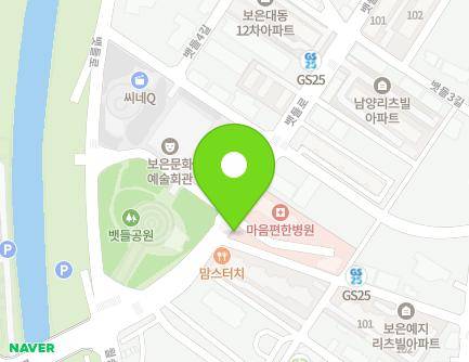 충청북도 보은군 보은읍 뱃들로 55-1 (병원) 지도