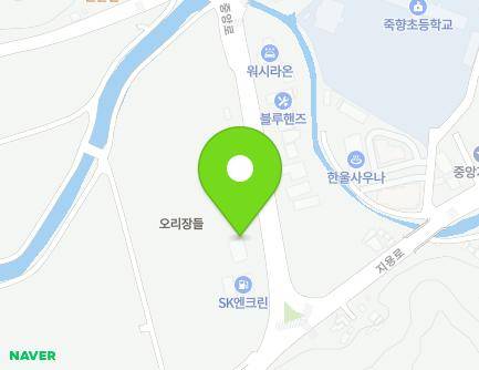 충청북도 옥천군 옥천읍 중앙로 177 (공인중개사) 지도