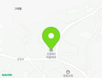 충청북도 음성군 삼성면 선정로 93 (선정4리마을회관) 지도