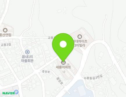 충청북도 음성군 음성읍 중앙로 197 (세륭아파트) 지도