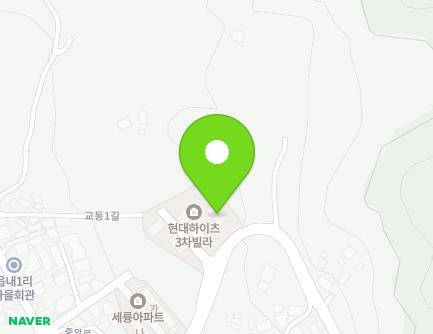 충청북도 음성군 음성읍 중앙로 207-8 (현대하이츠빌라3차3동) 지도