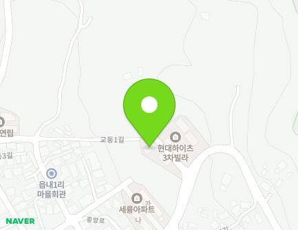 충청북도 음성군 음성읍 중앙로 207-5 (현대하이츠빌라3차5동) 지도