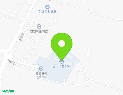 충청북도 진천군 이월면 진광로 972-12 (금구초등학교) 지도