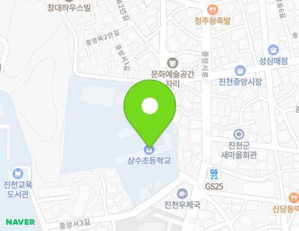 충청북도 진천군 진천읍 중앙서3길 6 (진천삼수초등학교) 지도