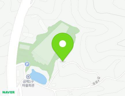 충청북도 충주시 응골4길 27-18 (금릉동, 숲속의장수촌) 지도