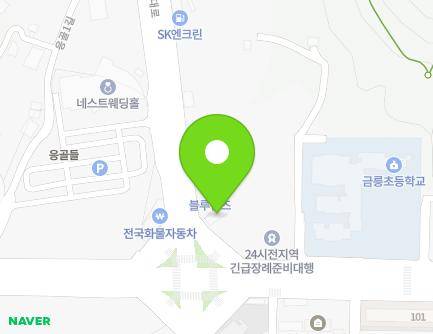 충청북도 충주시 국원대로 252 (금릉동) 지도