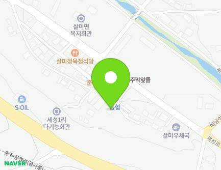 충청북도 충주시 살미면 세성로 58 (살미 치안센터) 지도