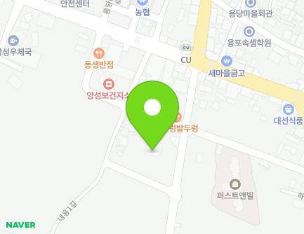 충청북도 충주시 앙성면 내용1길 13-1 지도