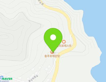 충청북도 충주시 충주호수로 850 (종민동, 충주호매운탕) 지도