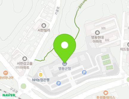 충청북도 영동군 영동읍 동정로 1 (영동군청) 지도